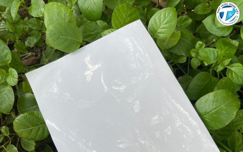 Mua Decal Trong Giá Rẻ Tại Hà Nội | Sỉ Lẻ Với Chính Sách Tốt